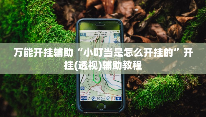 万能开挂辅助“小叮当是怎么开挂的”开挂(透视)辅助教程 万能开挂辅助“小叮当是怎么开挂的”开挂(透视)辅助教程