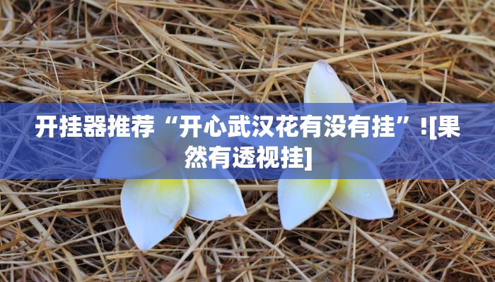 开挂器推荐“开心武汉花有没有挂”![果然有透视挂]