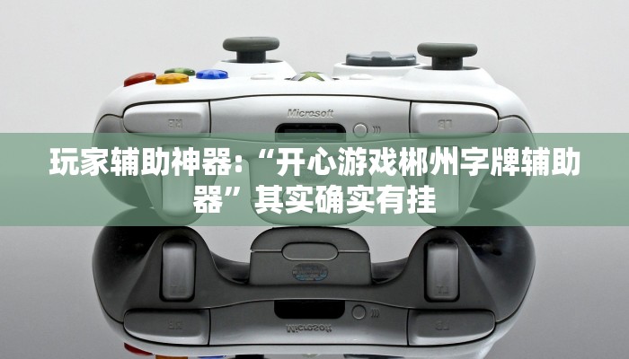 玩家辅助神器:“开心游戏郴州字牌辅助器”其实确实有挂