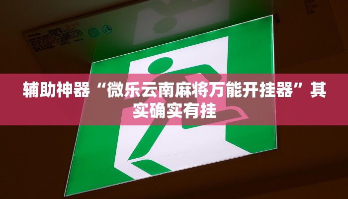 辅助神器“微乐云南麻将万能开挂器”其实确实有挂